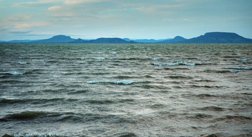 Furcsa lény tűnt fel a Balatonban: videóra vették az uszonyát