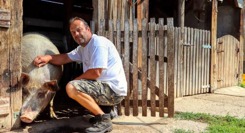 150 kistermelőhöz nézhetsz be a Nyitott Porta Napok rendezvényen