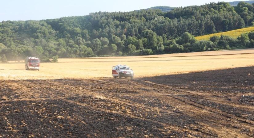 Újra tarló ég Baranyában – véletlen lenne?