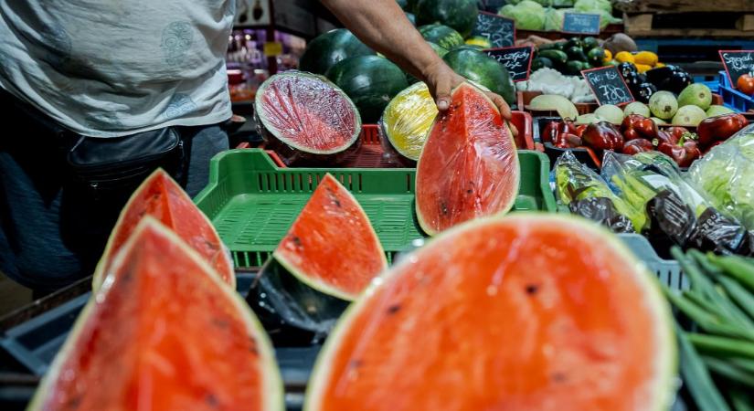 Nyári ellenőrzés indul, célkeresztben a lovas táborok, fröccsteraszok, helyi termelői piacok is