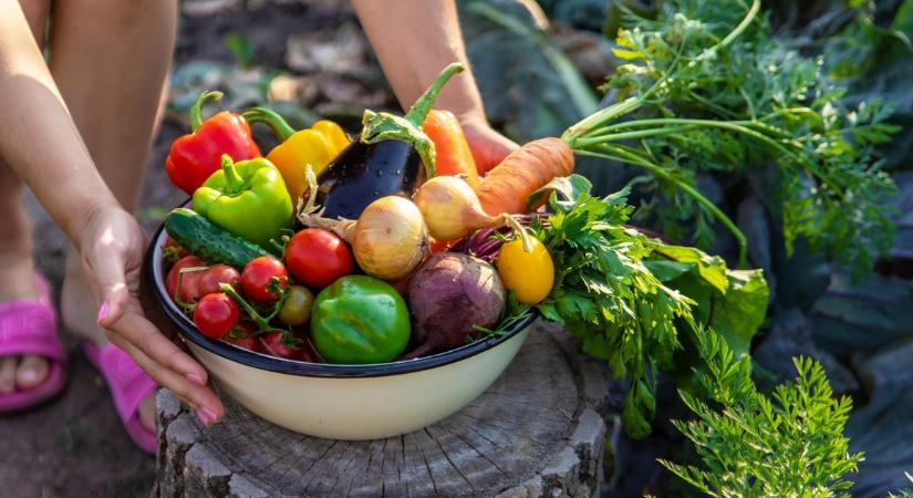 Ez a legmérgezőbb zöldség: vannak, akik nyáron minden nap esznek belőle, pedig akár 15 különböző vegyszerrel is permetezik