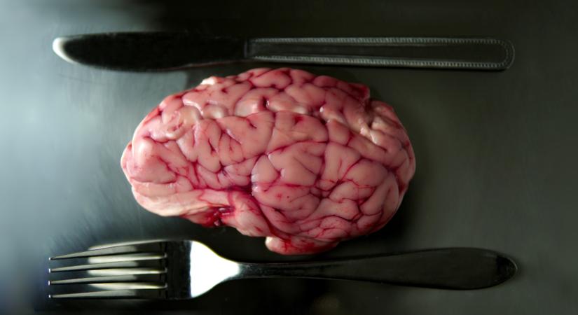 Mi más a pszichopaták agyában? A tudósok rémisztő nyomokra bukkantak
