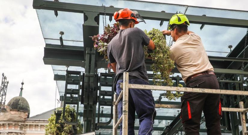 Zöldül, szépül Miskolc belvárosa – így lesz kellemesebb a várakozás  fotók
