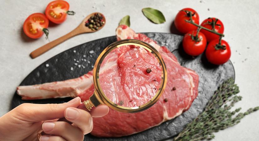 Lovas táborok, szikvizesek, fröccsteraszok: rajtol a nagy ellenőrzés-sorozat