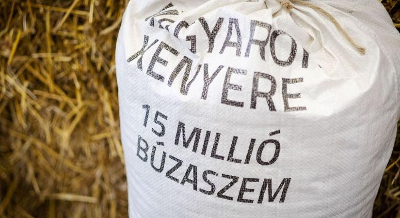 Újra segítenek a magyar gazdák, rekordot dönthet a jótékonysági búzagyűjtés