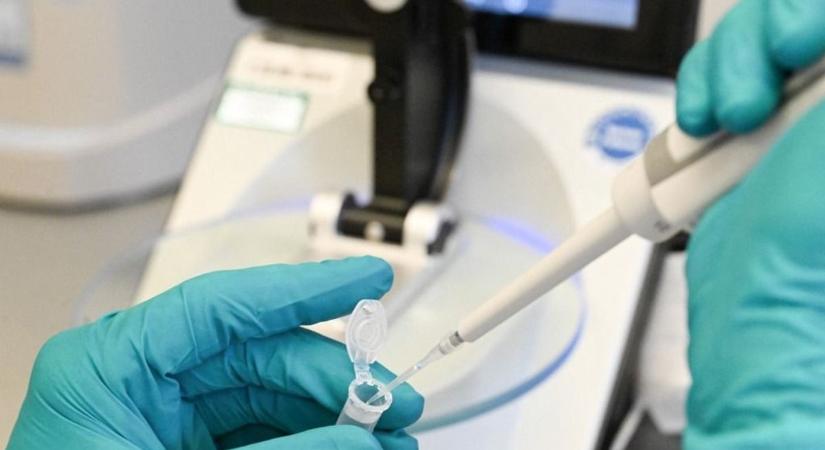 Magyar lendület a jövő orvostudományában: öt startup, amely átírhatja a szabályokat