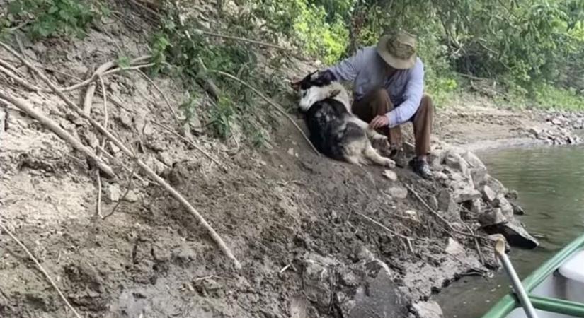 Kegyetlenség: összekötözött lábakkal, a folyó felé lökve próbálták kioltani a husky életét