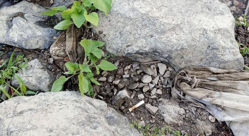 Emberi maradványokat sodort partra a Tisza a belvárosban, többen észre se vették, min taposnak