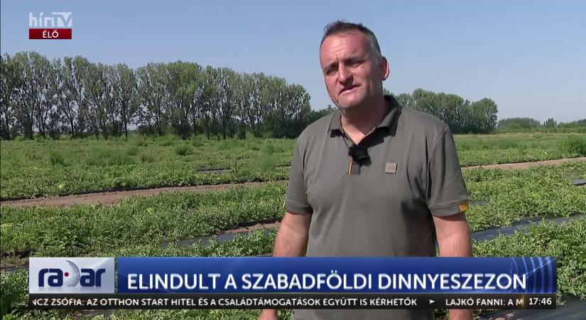 Radar - Elindult a szabadföldi dinnyeszezon  videó