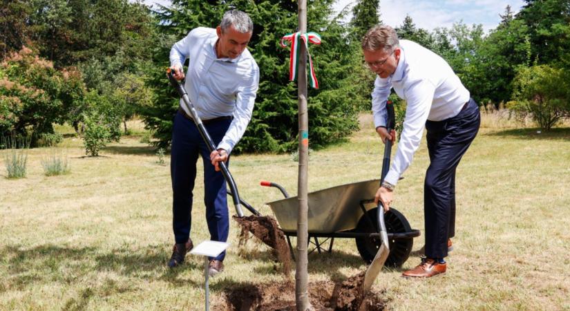 Növénytermesztési és állattenyésztési bemutatókertet épít a MATE Gödöllőn