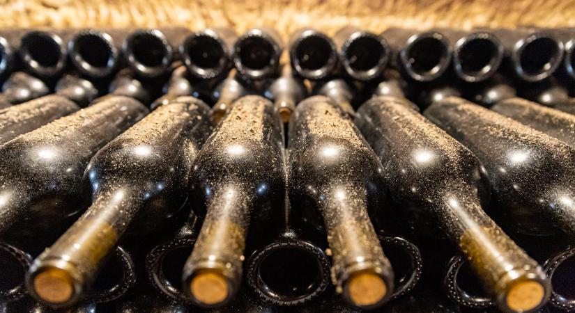 Nincsenek könnyű helyzetben a magyarországi borászatok, az alkohol kezd ciki lenni, de a partidrogok miatt is csökken a kereslet