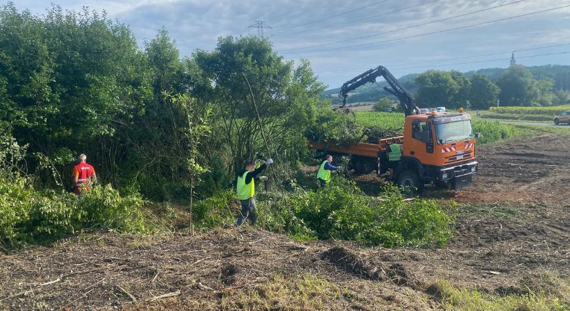 Halálos baleset a vasúti átjáróban: a helyieket is megrázta a tragédia, most összefogtak