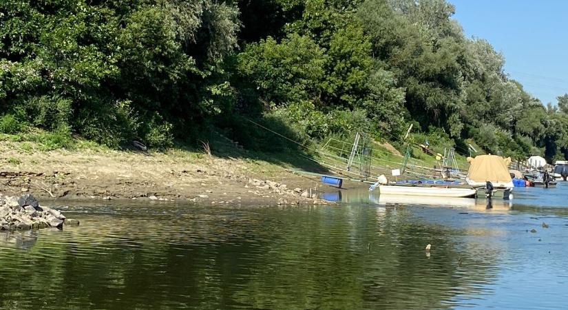 Több súlyos kérdést is felvetnek a Tisza partján talált emberi maradványok