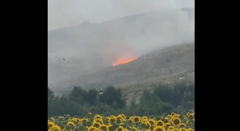 Videón látszódik, ahogy lángol a pusztazámori szeméttelep