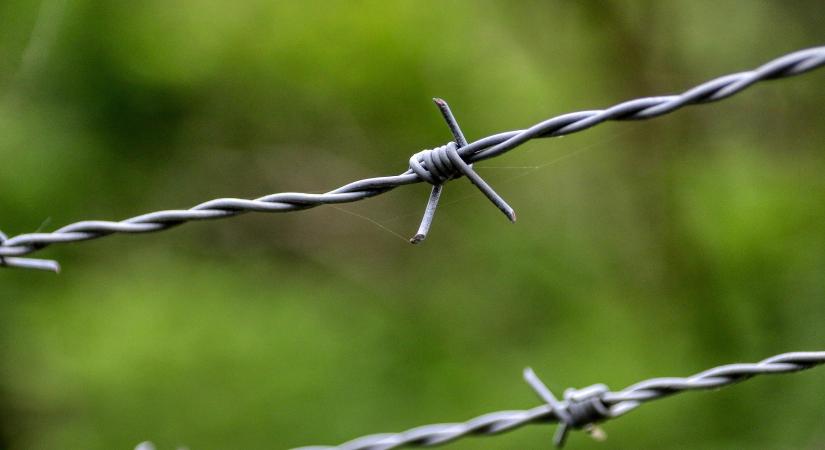 Tragédia Tapolcán: szögesdrót végzett egy 20 éves nővel a nagymamája kertjében