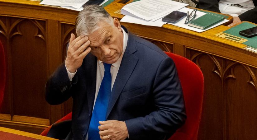 Orbán úgy van Magyar Péterrel, mint az öreg székely a zsiráffal