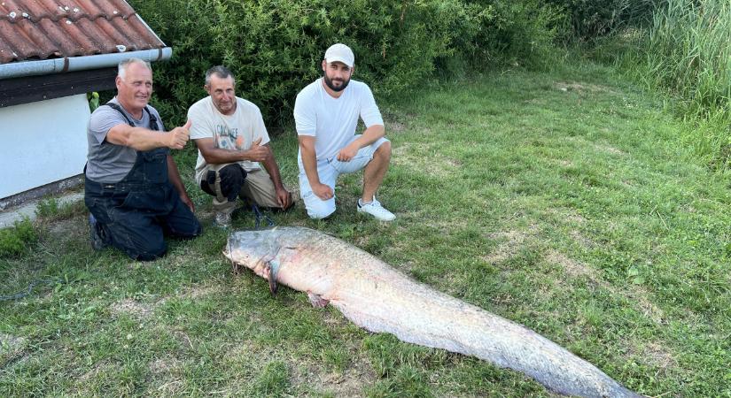 Fantasztikus rekord a Balatonnál