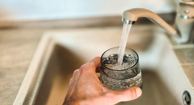 A pajzsmirigy hormontermelését támogató makrotápanyagok