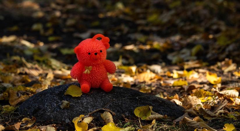 Vérfagyasztó mackók: emberi maradványokra emlékeztető játékokat találtak