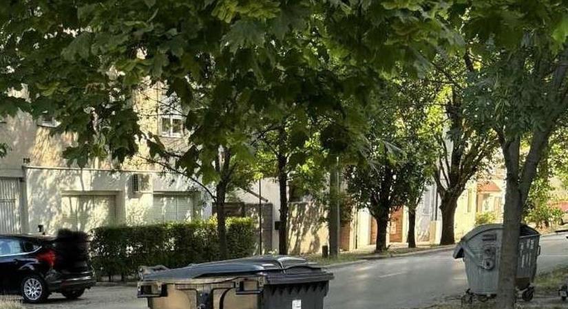 Épp a házuknál felbukkant óriási kupacot nézték a lakók, amikor furcsa tárgyat vettek észre a szemétben