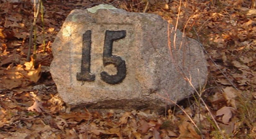 2025. július 15. – Információk, hírek vállalkozóknak
