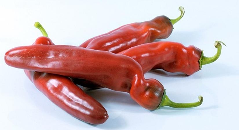 Palermo paprika akció