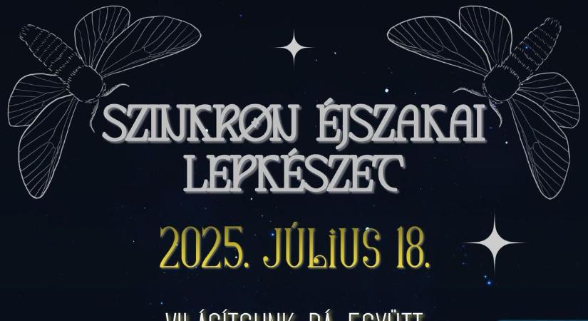Szinkron Éjszakai Lepkészet Sopronban