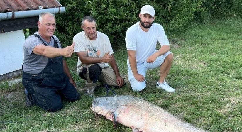 Évtizedes rekord: több mint kétméteres halszörnyet fogtak ki a Balatonból fotók