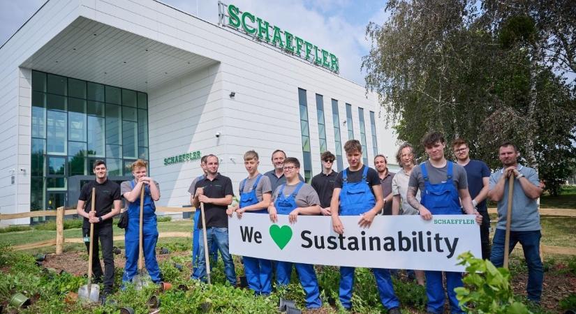 A szombathelyi Schaeffler komoly lépéseket tesz a biodiverzitás megőrzéséért