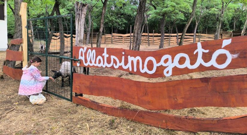 Videón az új tatai állatsimogató, tovább bővült a gasztro udvar