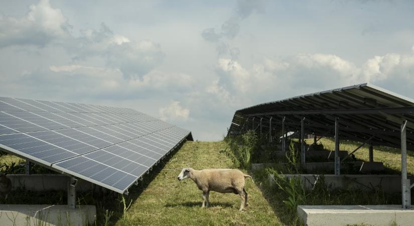 3 milliárd eurós német óriásberuházás jönne Paksra, az ország legnagyobb napelemparkjával hoznának létre hatalmas energiaigényű MI-adatközpontot