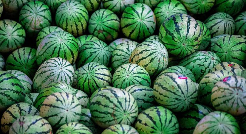 Ne nyomják le az árakat! – ezt kérik a magyar dinnyések