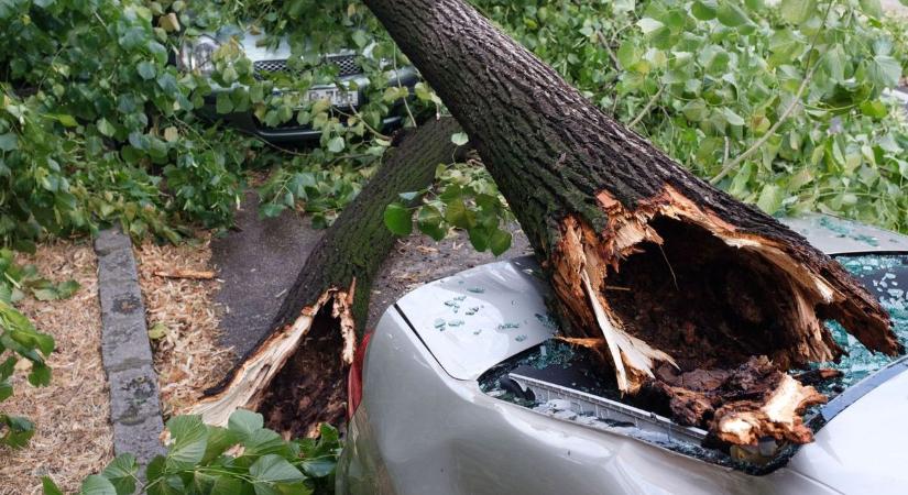 Tombolt a vihar, sorra dőltek a fák