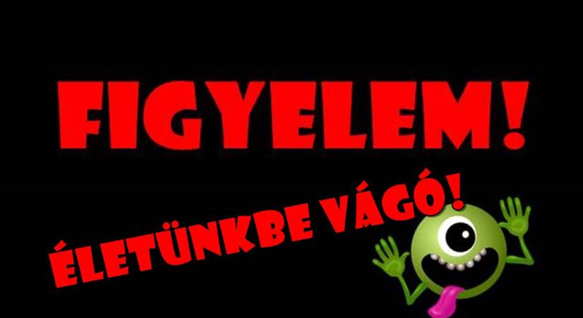 Örülhet, akinek nem jut! – kommentelték a hírt, miszerint a Péterfyben lejárt alapanyagból os készül ebéd