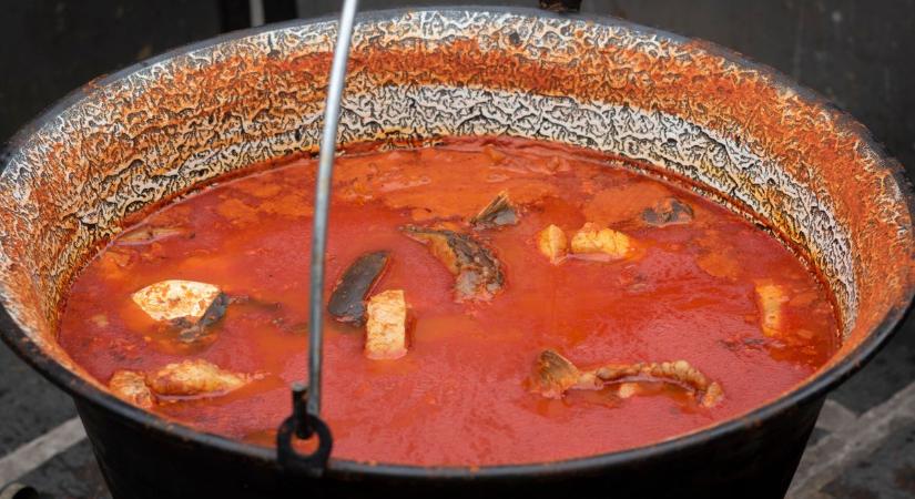 Mindössze jó hal, paprika, hagyma és só kell a halászléhez, vallja a hírneves halfőző, Barics Zsolt