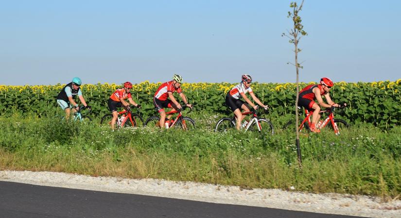 Szakaszokban épül Szeged és Ópusztaszer közötti közel 20 kilométeres kerékpárút
