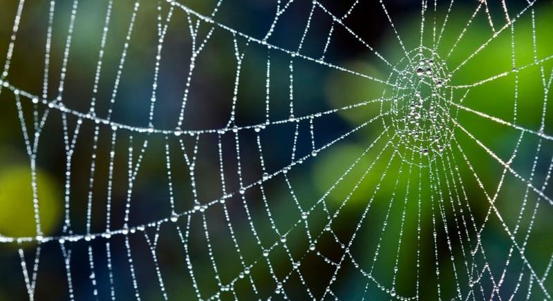 A hálózati aktivitás szerint sehol nincs még a bitcoin árfolyama