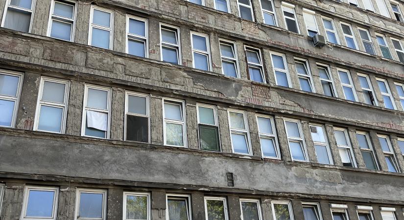 Majdnem 200 kiló lejárt húst találtak a Péterfyben