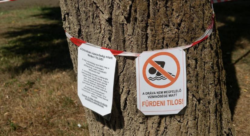 Lezárták a Dráva barcsi szakaszát, bakteriális fertőzés van a vízben