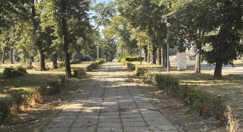 A Nagyvásártérhez „értek” a váradi parkfelújításokkal