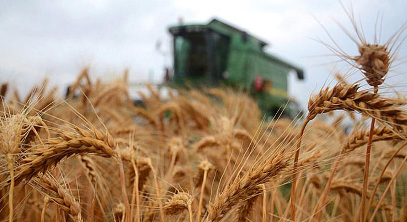 Mészáros Lőrinc arathat, még egy agrárcéget gründolt
