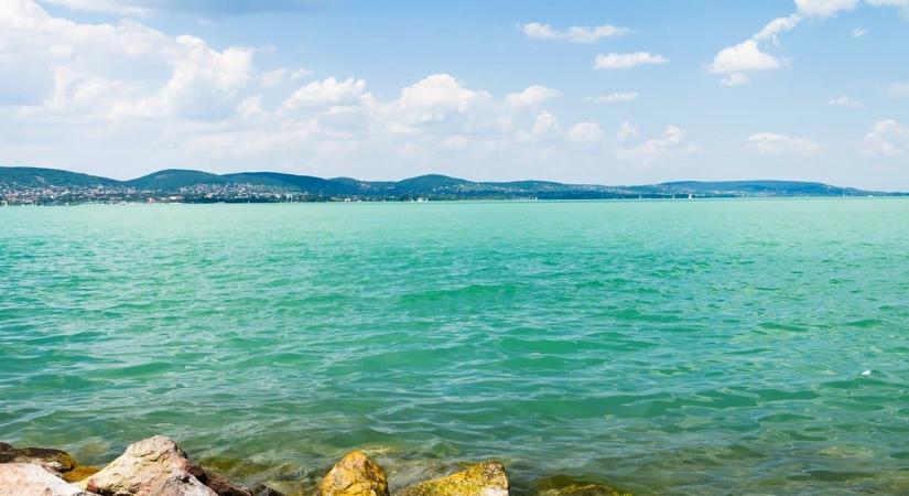 Rémisztő lények jelentek meg a Balatonban, sokkolták a fürdőzőket