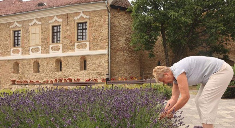25 éves a Régi Mesterségek Egyesülete – jubileumi kiállítás nyílik a várban