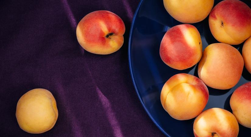 Az elmúlt húsz év leggyengébb kajszitermése várható idén