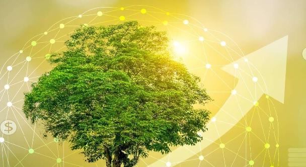 AZ ESG BESZÁMOLÓKÉSZÍTÉS 7 LÉPÉSBEN