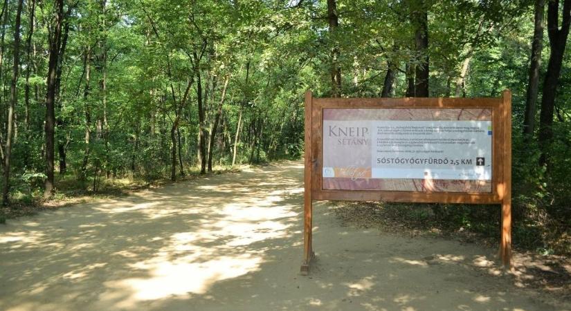 Karnyújtásnyira a természet – erdőkirándulást szervez a Nyírerdő