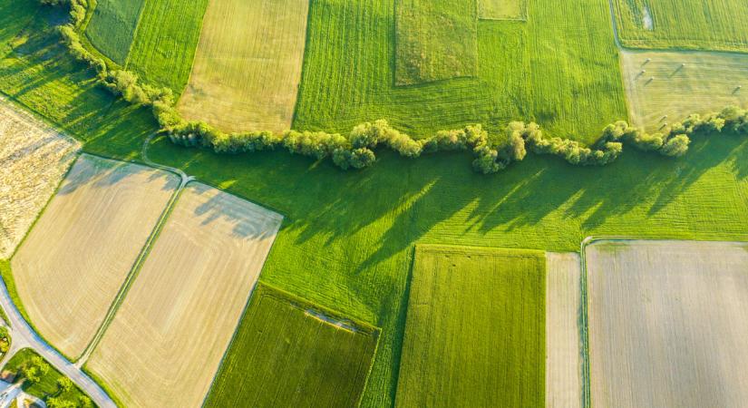 Gyökeres átalakulás jöhet az agrártámogatásokban - máris tiltakoznak az érintettek