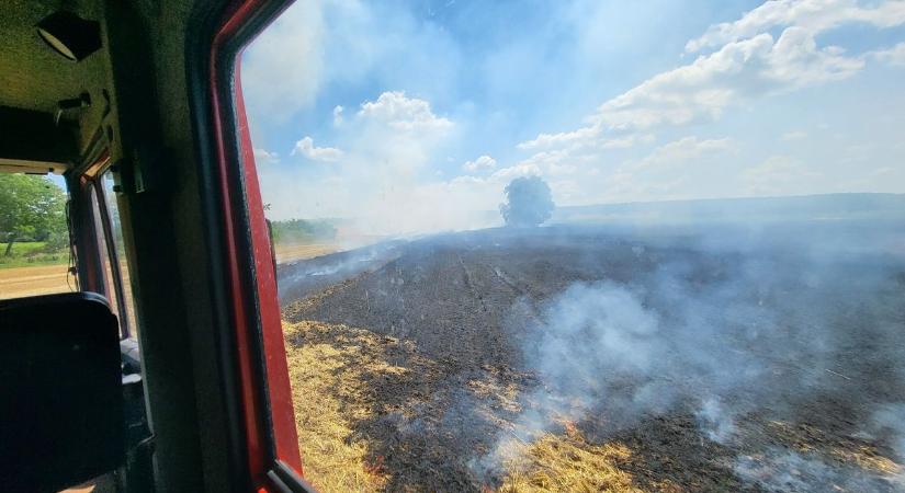 Hatalmas tarlótűz Górban: két vármegye tűzoltói érkeztek a helyszínre - fotók