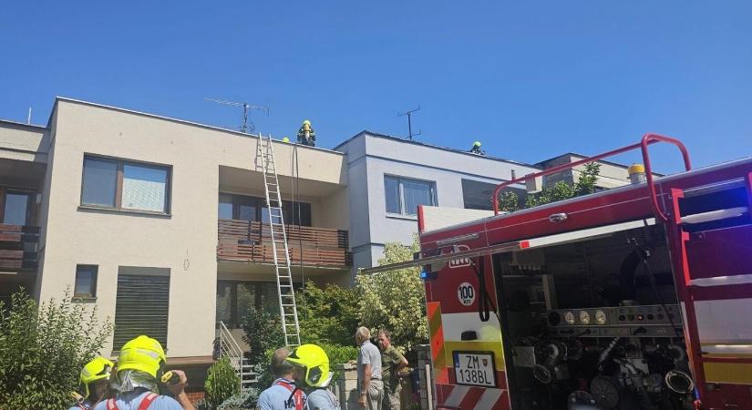 1161 helyre vonultak ki a tűzoltók a múlt héten