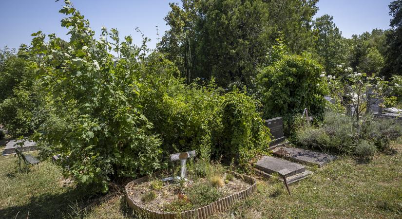 Négy év után, őszre elkészülhet Kandech Evelyne síremléke